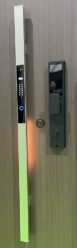 Luxury Door Smart Lock Fingerprint Combination Lock Face Unlock Features Stainless Steel from China Factory