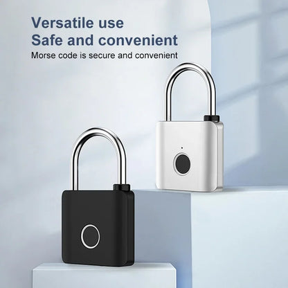 Fingerprint Padlock Metal Keyless Fingerprint Lock with USB Charging Port, Waterproof for Luggage From Tdmlock Manufacturer