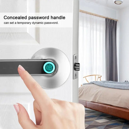 Simple Fingerprint Smart Handle Lock with Unlock Ways Biometric Fingerprint Password APP Keyless