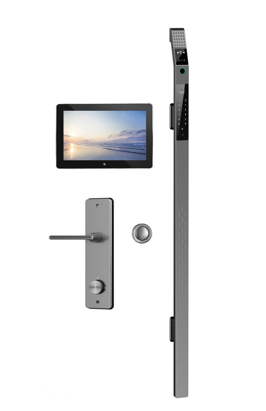 Luxury Door Smart Lock  Fingerprint Combination Lock Face Unlock Features Stainless Steel from China Factory