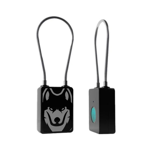 Smart Fingerprint Padlock Suitcase Luggage New Metal Code Lock Mini Fingerprint Keyed Anti-Theft Lock From Tdmlock Manufacturer