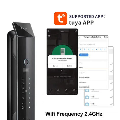 Automatic Security Electronic Smart Locks with Camera Wifi Tuya Face Recognition Lock Wholesale From TDM Factory Manufacturer