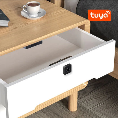 TUYA App Smart Lock Cabinet Lock,with Fingerprint ,IC Card,Password Tuya Wifi or Tuya Bluetooth Easy Operation
