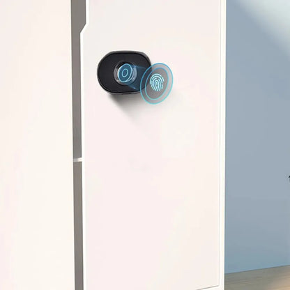 Mini Intelligent Electric Smart Fingerprint Drawer Lock Tuya Smart Small Fingerprint Cabinet Lock One Touch Work