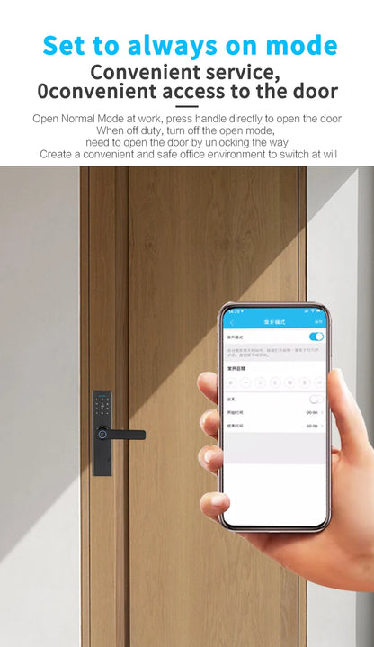 TT210 Smart Lock with Handle Zin Alloy Material Unlock Way TT Lock Fingerprint Passcode IC Card Key for Home Hotel Office School