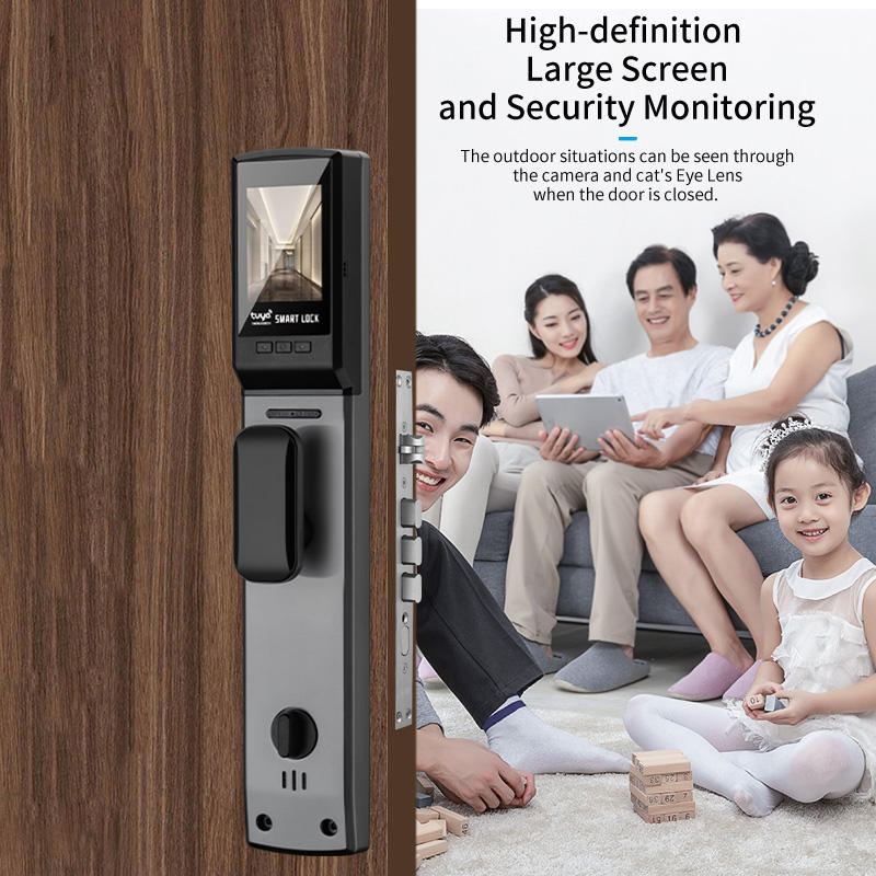 Automatic Security Electronic Smart Locks with Camera Wifi Tuya Face Recognition Lock TDM-C91